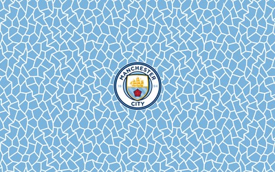 AOA电竞焦点-于帕梅卡诺成球队心病